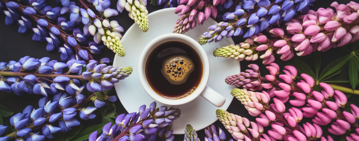 Lupinenkaffee – 5 Rezepte für mehr als nur eine Tasse